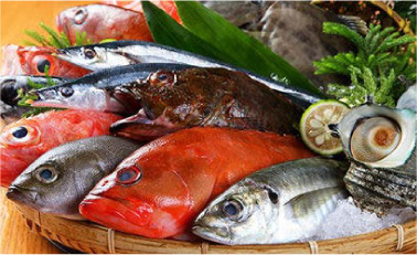 水産加工業ビジネス