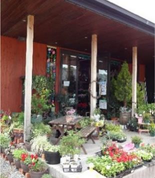 ふらわ~しょっぷ花友