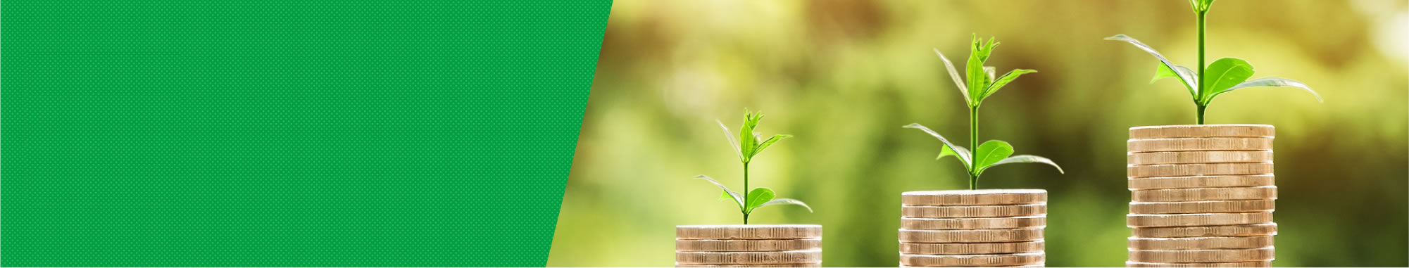 資金の調達や<br />
相談をしたい